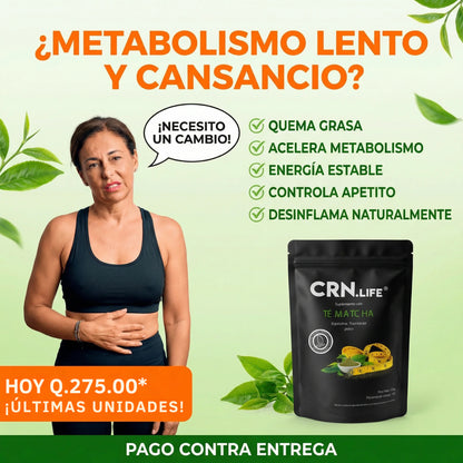 ¿Buscas mejorar tu metabolismo y sentirte con energía?