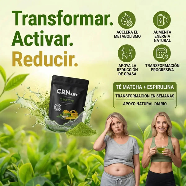 Matcha Verde Energía Natural Orgánico